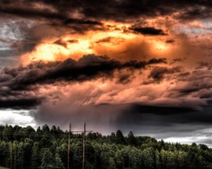 У понеділок прогнозують штормовий вітер із дощем