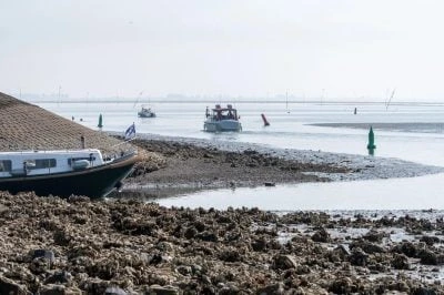 У США готові заплатити $200 000 за спосіб зупинити проблему, яка вже коштує мільярди